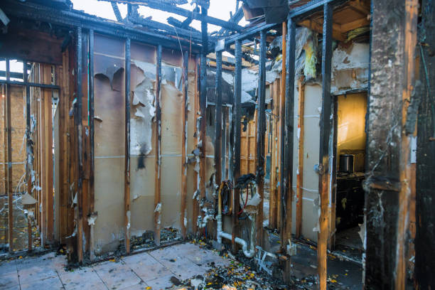 Professional Fire Damage Removal technician working in Highlands, TX